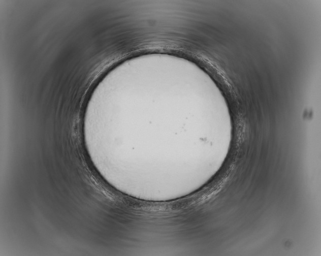 X0000096631121200803041058