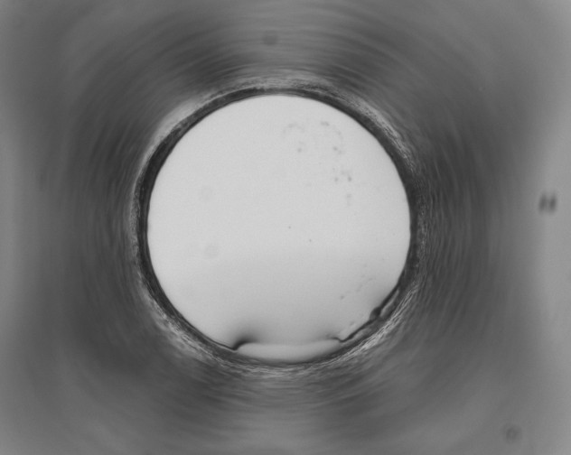 X0000096631122200803041058