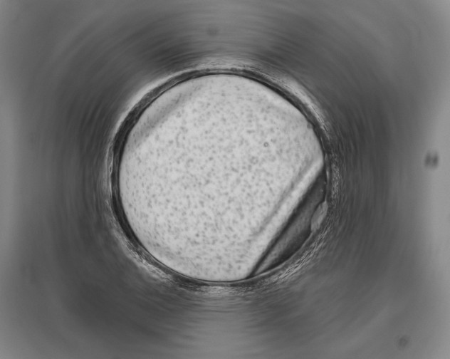 X0000096631124200803041058