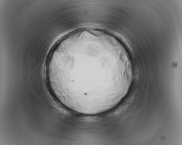 X0000096631125200803041058