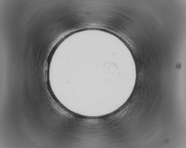 X0000096631126200803041058