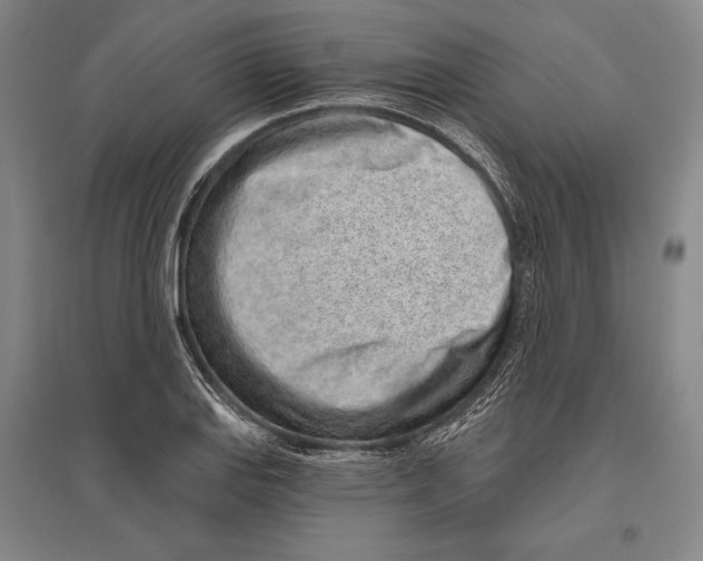 X0000096631127200803041058