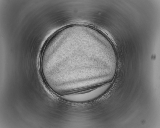 X0000096631128200803041058