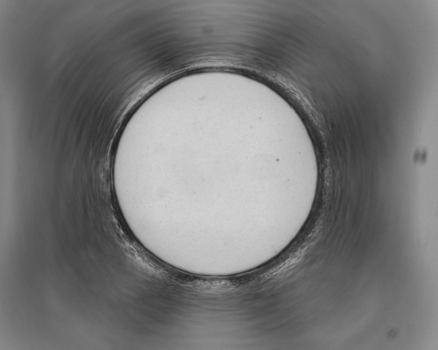 X0000096631129200803041058