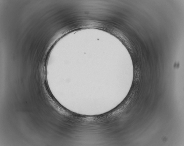 X0000096631130200803041058