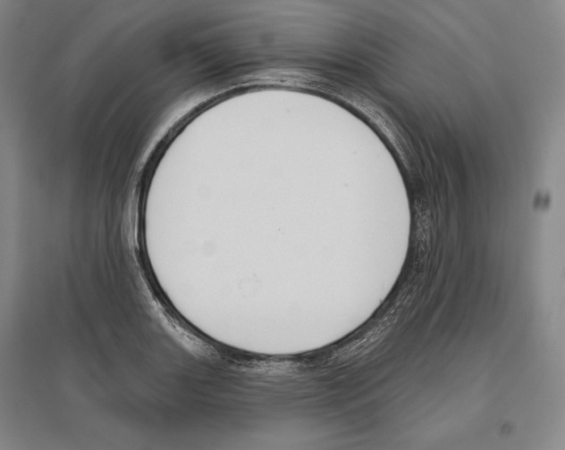 X0000096631131200803041058