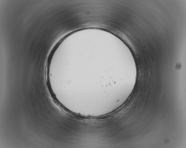 X0000096631132200803041058