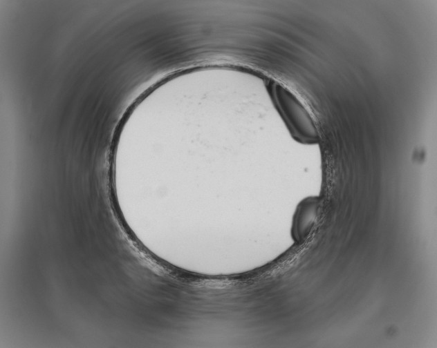 X0000096631134200803041058