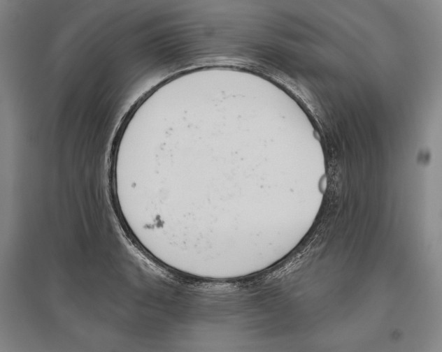 X0000096631135200803041058