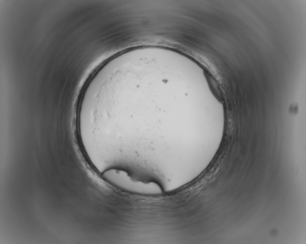 X0000096631136200803041058
