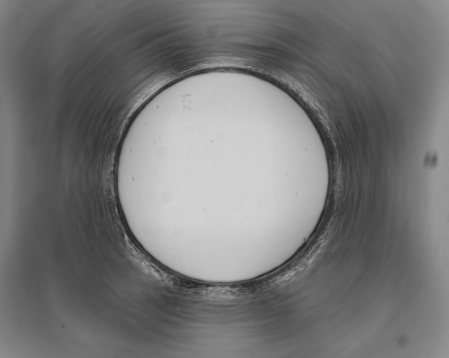 X0000096631137200803041058