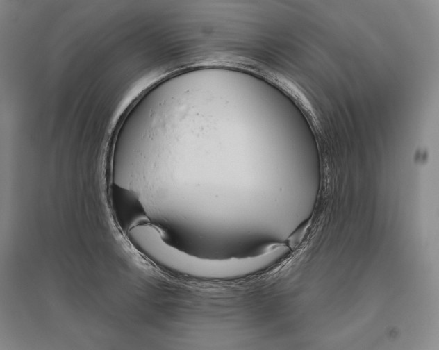 X0000096631138200803041058