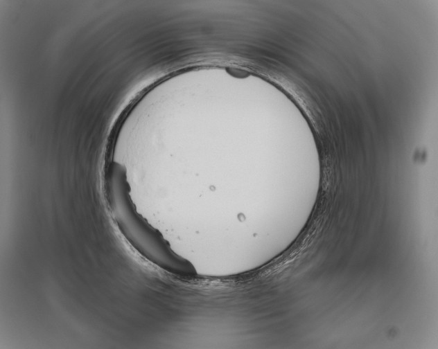 X0000096631139200803041058
