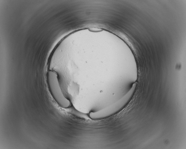 X0000096631140200803041058