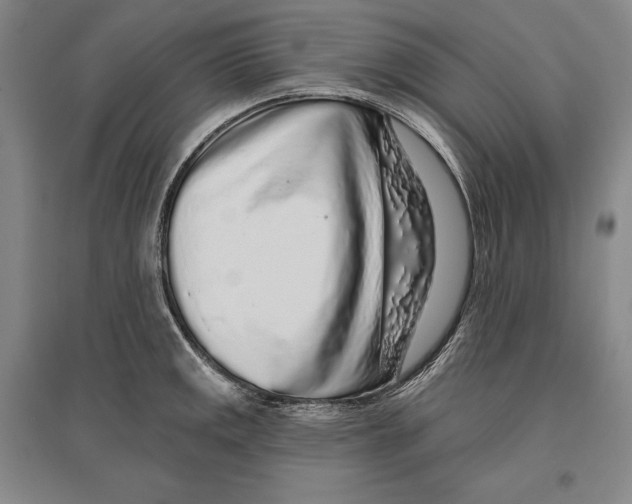 X0000096631141200803041058