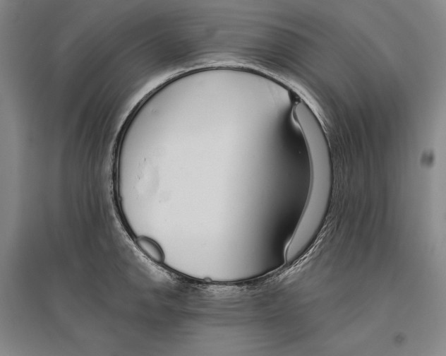 X0000096631142200803041058