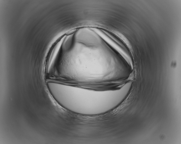 X0000096631144200803041058