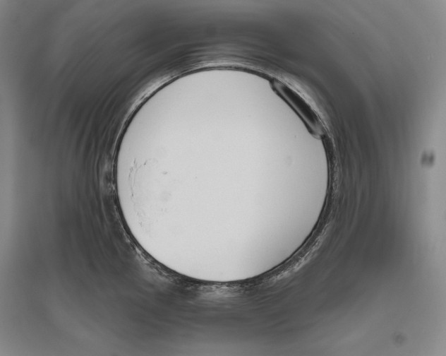 X0000096631145200803041058