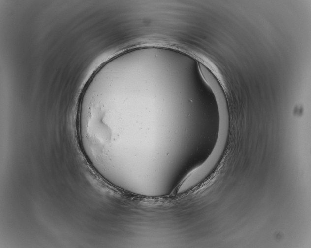 X0000096631146200803041058