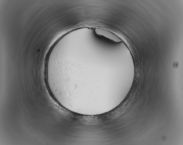 X0000096631147200803041059
