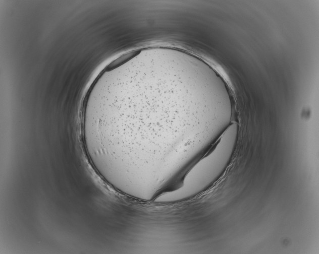 X0000096631148200803041059