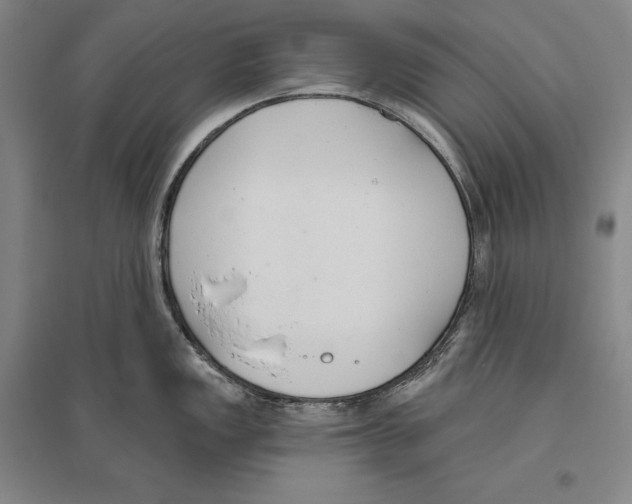 X0000096631149200803041059