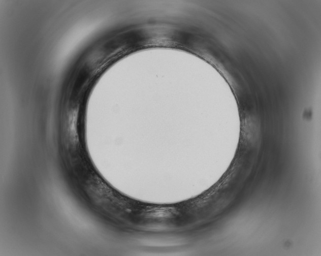 X0000096631150200803041059
