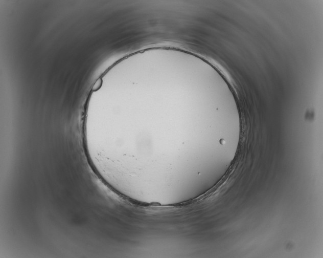 X0000096631151200803041059