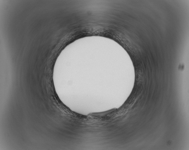 X0000096631153200803041058