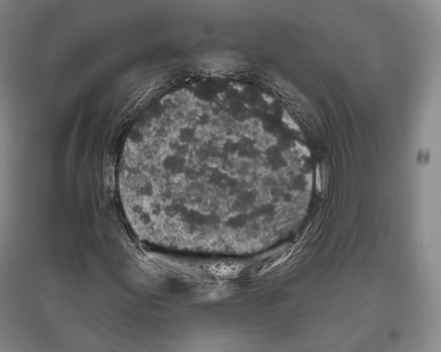 X0000096631155200803041058