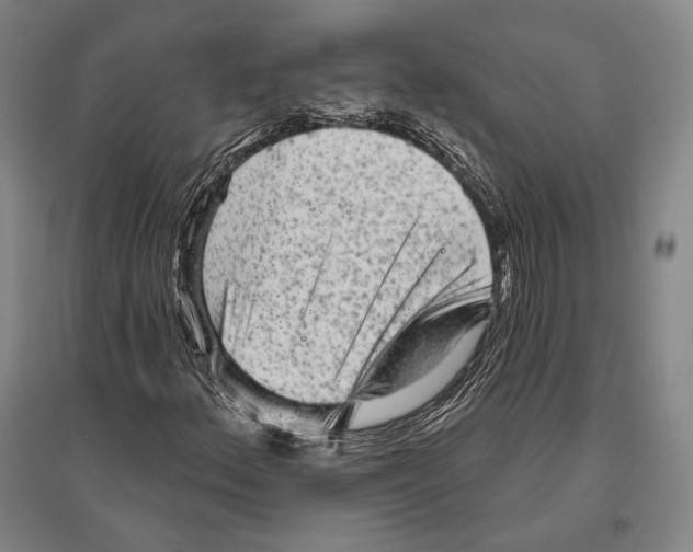 X0000096631156200803041058
