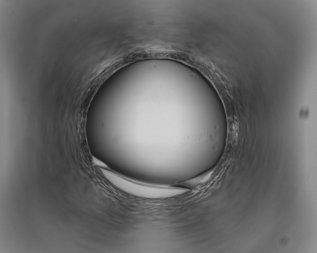 X0000096631157200803041058