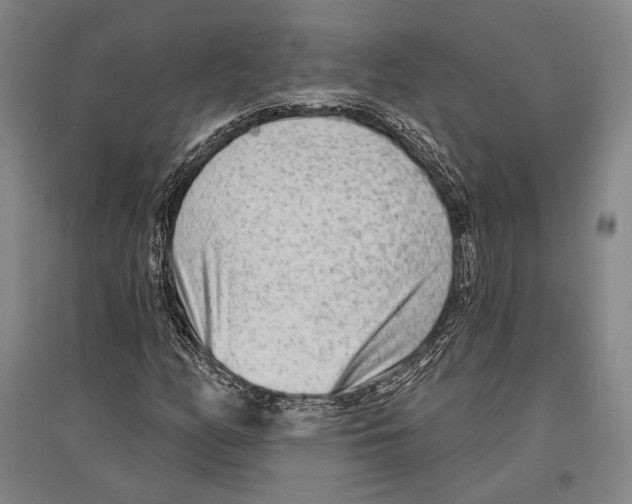 X0000096631158200803041058