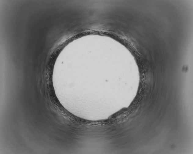 X0000096631159200803041058