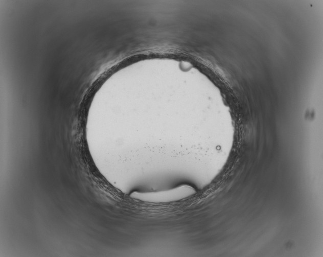 X0000096631160200803041058