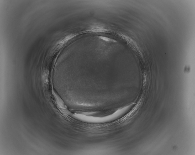 X0000096631161200803041058