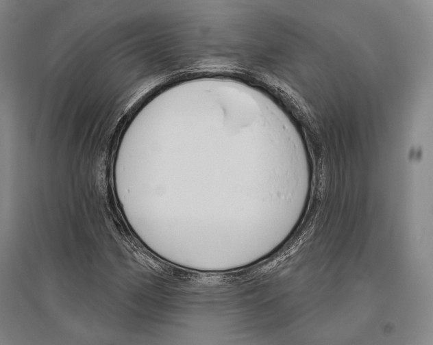X0000096631162200803041058