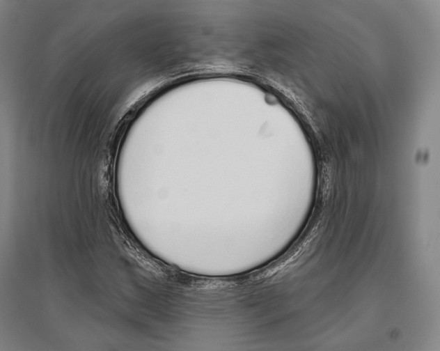 X0000096631163200803041058