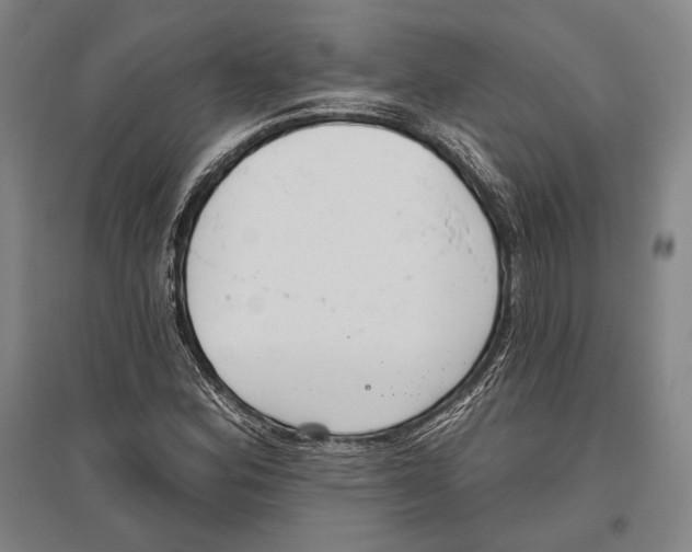 X0000096631164200803041058