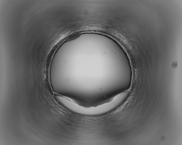 X0000096631165200803041058