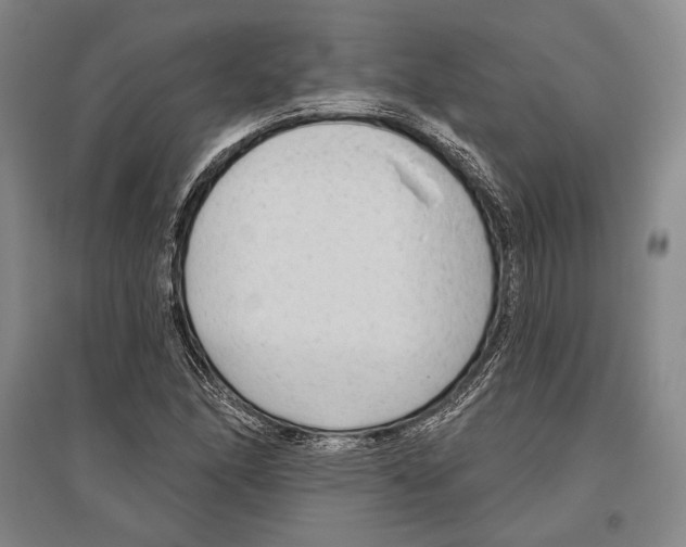 X0000096631166200803041058