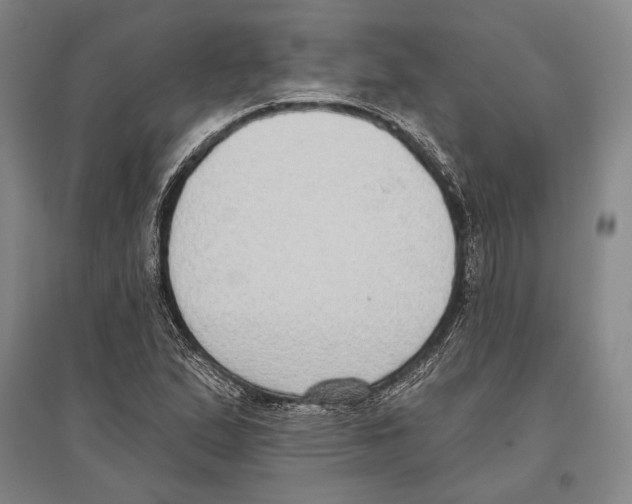 X0000096631167200803041058
