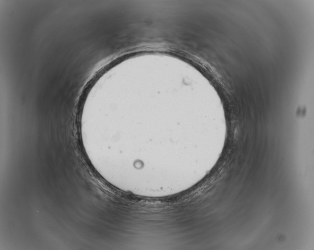 X0000096631168200803041058