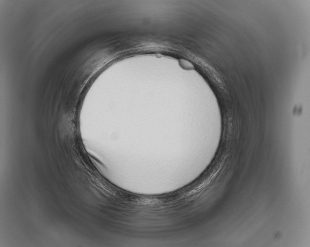 X0000096631170200803041058