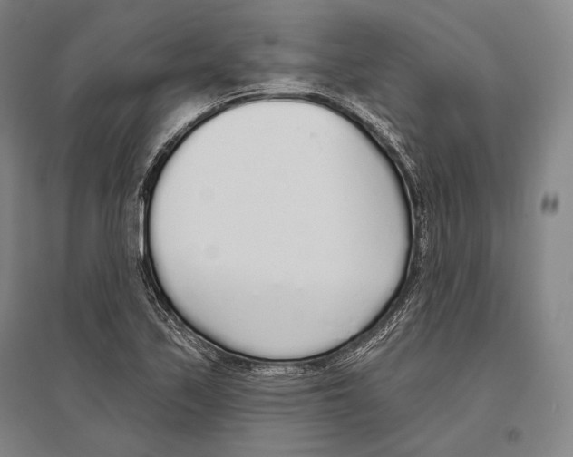 X0000096631171200803041058