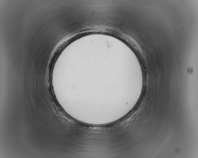 X0000096631172200803041058