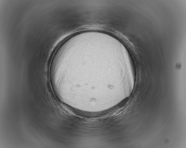 X0000096631174200803041058