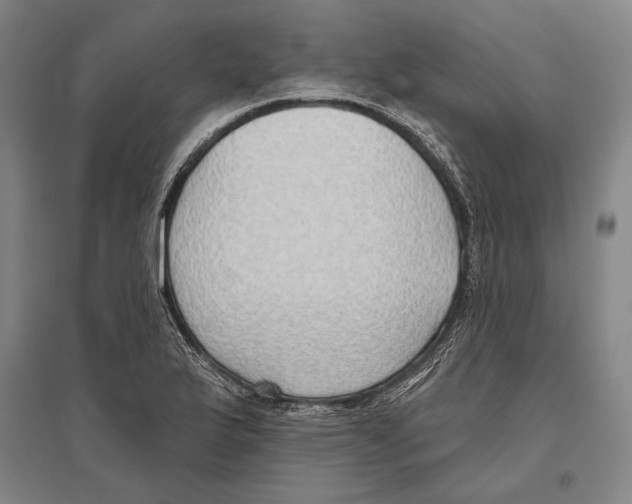 X0000096631175200803041058