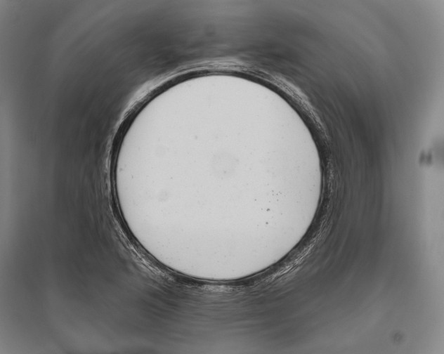 X0000096631176200803041058