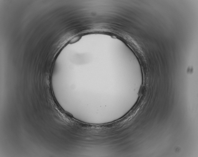 X0000096631177200803041058